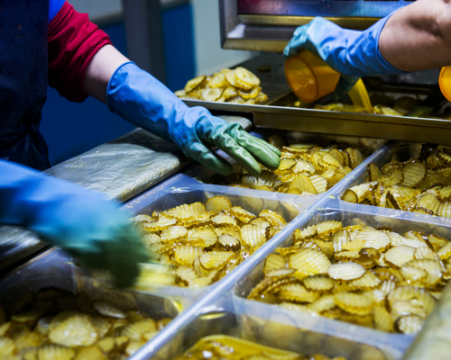 Doğal Turşu Üretimi