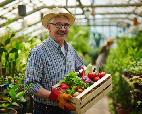 Yerel Üretici Destek Programı